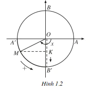 hinh-anh-bai-1-cac-ham-so-luong-giac-3847-2