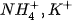 hinh-anh-bai-4-su-dung-cai-tao-va-bao-ve-dat-trong-13255-5