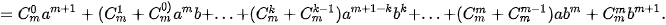 hinh-anh-bai-4-nhi-thuc-newton-13187-44