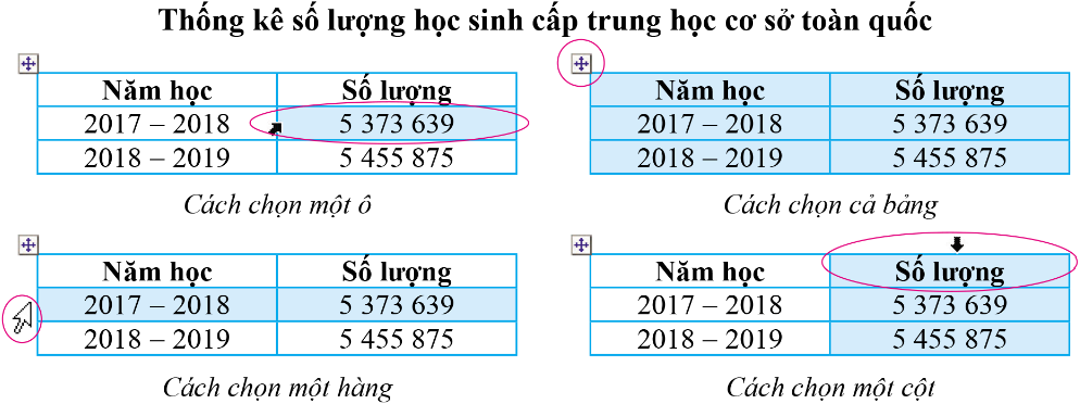 hinh-anh-bai-4-trinh-bay-thong-tin-o-dang-bang-10960-5