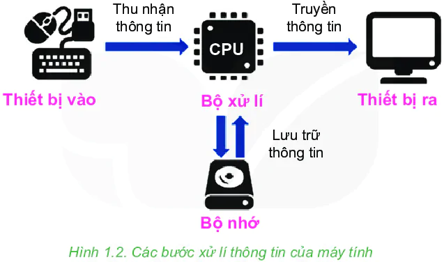 hinh-anh-bai-2-xu-li-thong-tin-5962-2