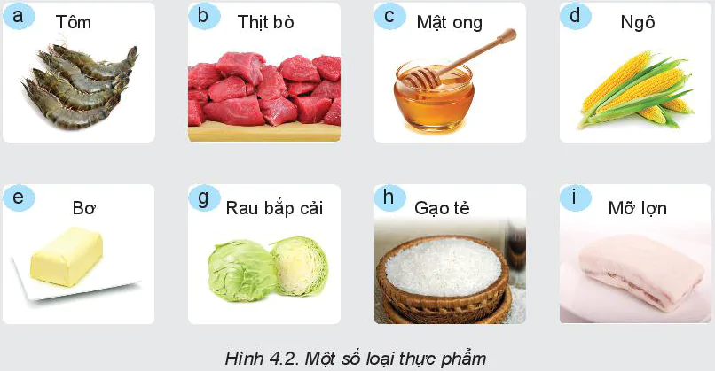 hinh-anh-bai-4-thuc-pham-va-dinh-duong-5808-1