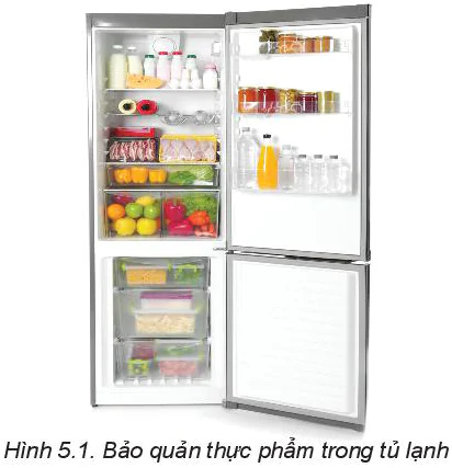 hinh-anh-bai-5-phuong-phap-bao-quan-va-che-bien-thuc-pham-5809-1