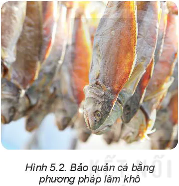 hinh-anh-bai-5-phuong-phap-bao-quan-va-che-bien-thuc-pham-5809-2