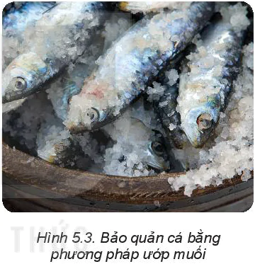 hinh-anh-bai-5-phuong-phap-bao-quan-va-che-bien-thuc-pham-5809-3