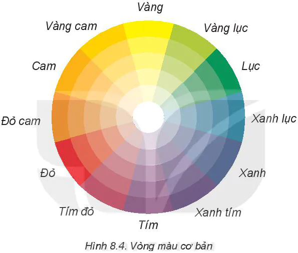 hinh-anh-bai-8-su-dung-va-bao-quan-trang-phuc-5878-3