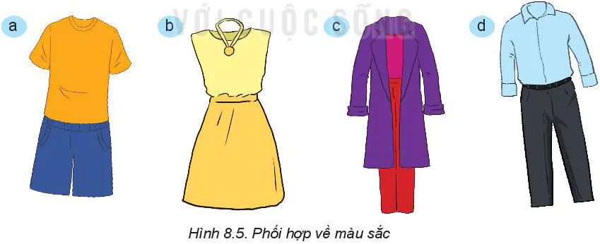 hinh-anh-bai-8-su-dung-va-bao-quan-trang-phuc-5878-4