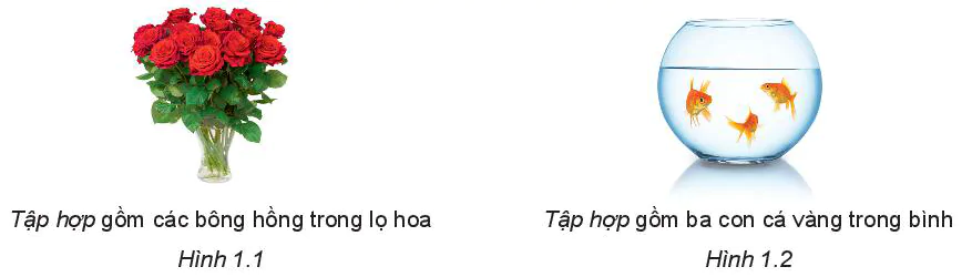 hinh-anh-bai-1-tap-hop-5701-0