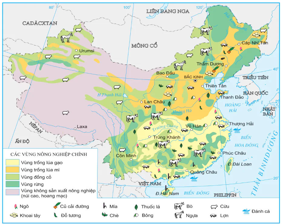 hinh-anh-bai-10-cong-hoa-nhan-dan-trung-hoa-trung-quoc-3263-8