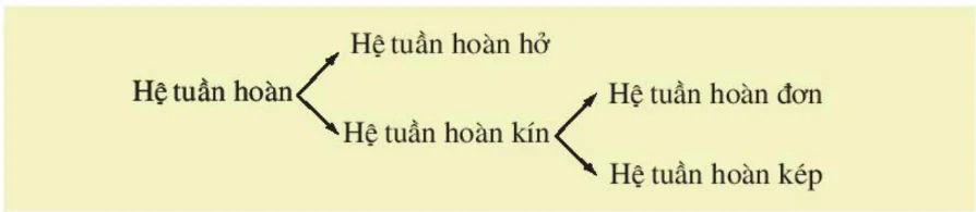 hinh-anh-bai-18-tuan-hoan-mau-3426-0