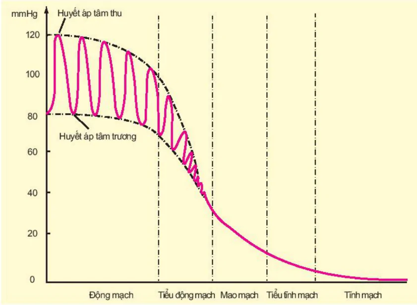 hinh-anh-bai-19-tuan-hoan-mau-tiep-theo-3428-2