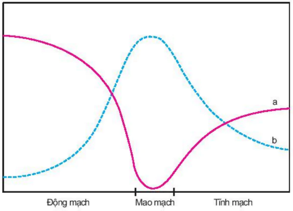 hinh-anh-bai-19-tuan-hoan-mau-tiep-theo-3428-3