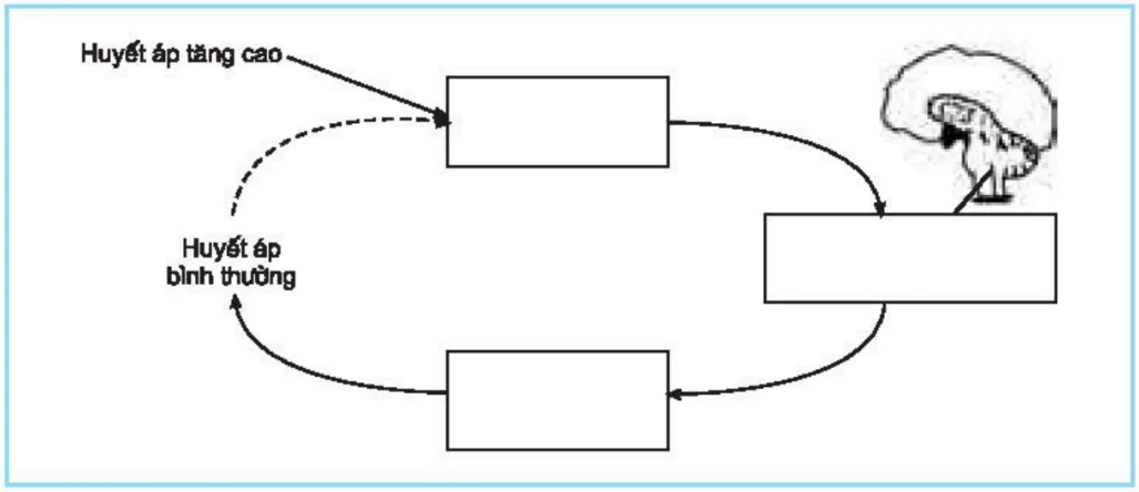 hinh-anh-bai-20-can-bang-noi-moi-3429-1