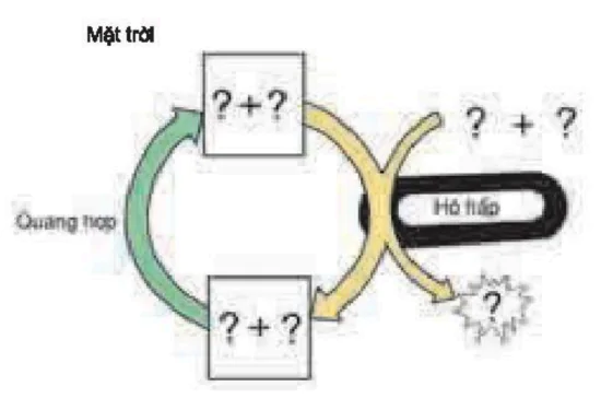 hinh-anh-bai-22-on-tap-chuong-i-3431-1