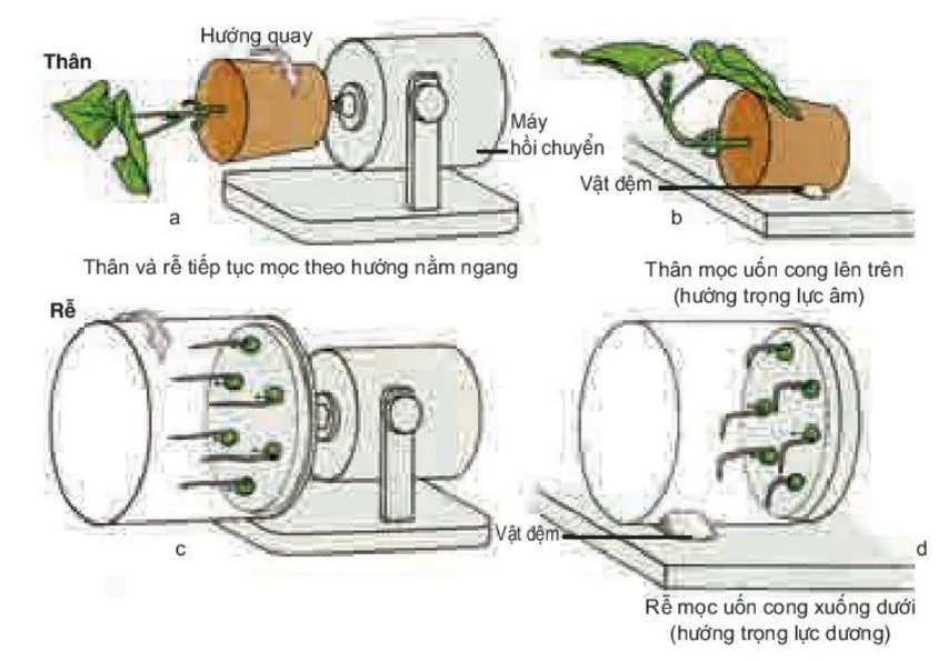 hinh-anh-bai-23-huong-dong-3442-2