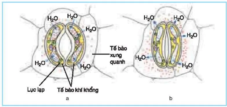 hinh-anh-bai-24-ung-dong-3444-2