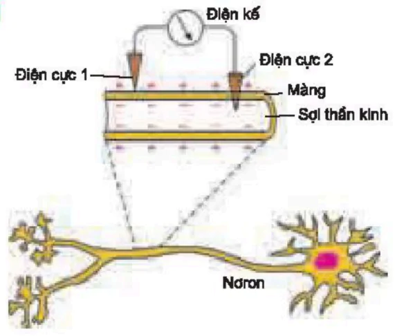 hinh-anh-bai-28-dien-the-nghi-3448-0