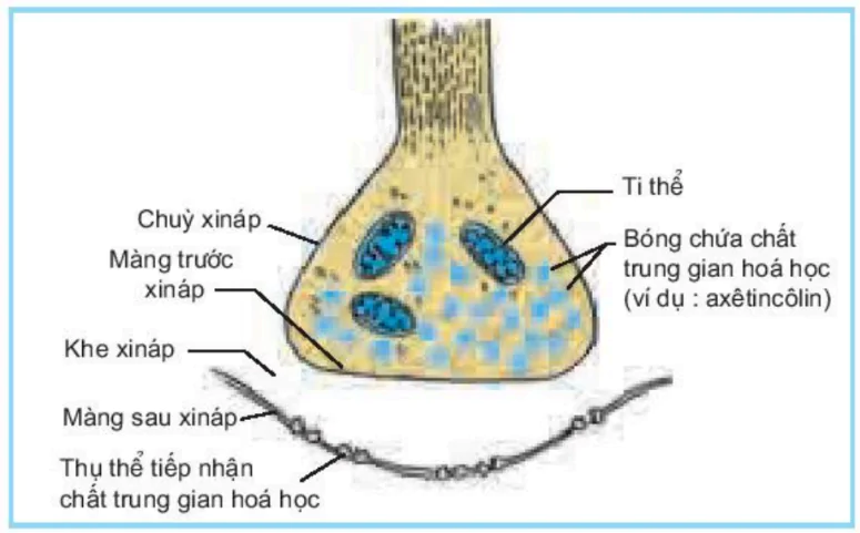 hinh-anh-bai-30-truyen-tin-qua-xinap-3450-1