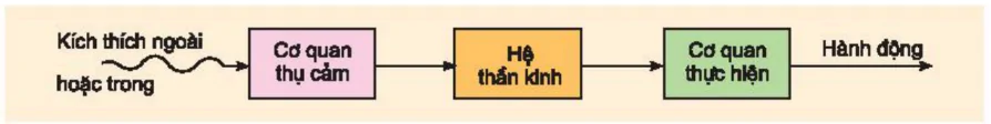 hinh-anh-bai-31-tap-tinh-cua-dong-vat-3451-1