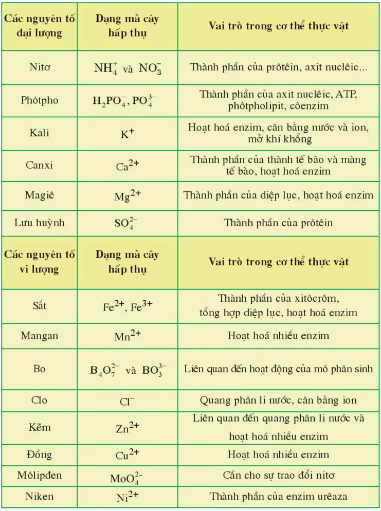 hinh-anh-bai-4-vai-tro-cua-cac-nguyen-to-khoang-3378-2