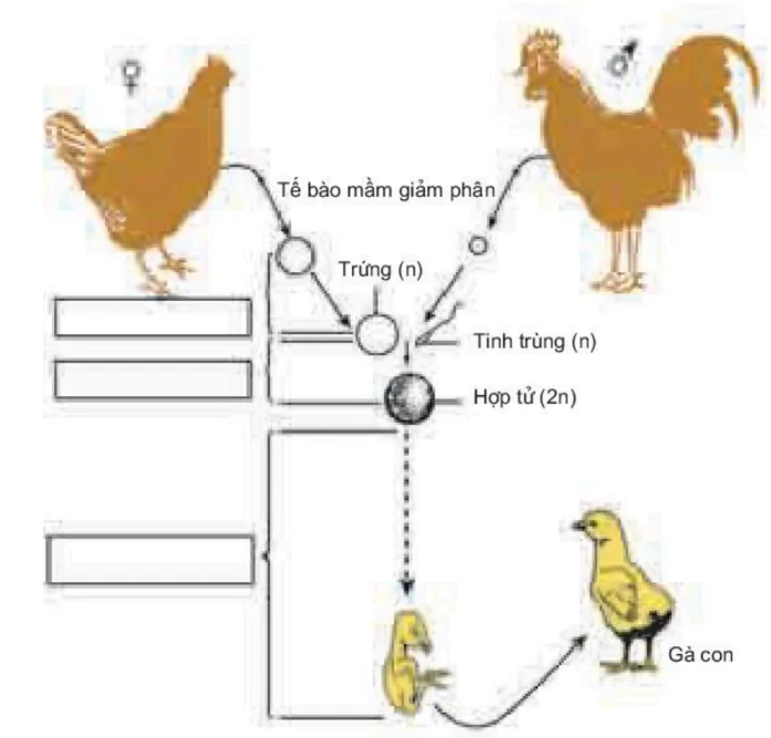 hinh-anh-bai-45-sinh-san-huu-tinh-o-dong-vat-3515-0