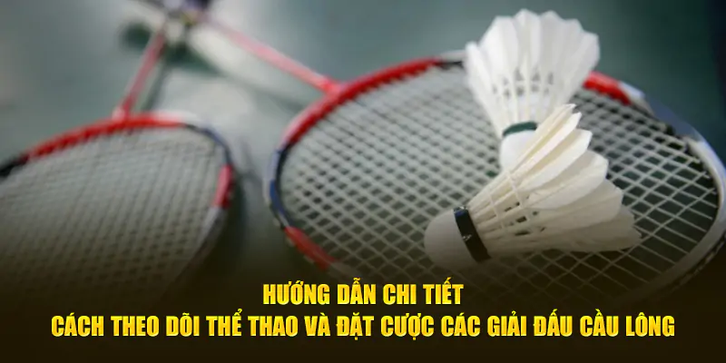 hinh-anh-huong-dan-chi-tiet-cach-theo-doi-the-thao-va-dat-cuoc-cac-giai-dau-cau-long-202-0