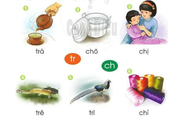 hinh-anh-bai-29-chu-tr-ch-30-1