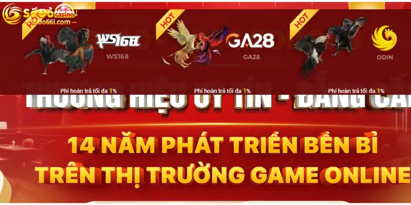 hinh-anh-da-ga-sodo66-tan-huong-su-soi-dong-tu-cac-tran-dau-290-0