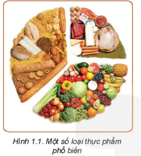 hinh-anh-bai-1-thanh-phan-dinh-duong-trong-thuc-pham-5717-0