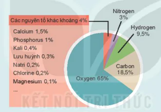 hinh-anh-bai-3-nguyen-to-hoa-hoc-5916-3