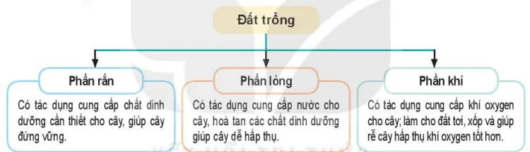 hinh-anh-bai-2-lam-dat-trong-cay-6459-0