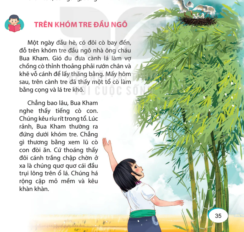 hinh-anh-bai-8-tren-khom-tre-dau-ngo-6471-0