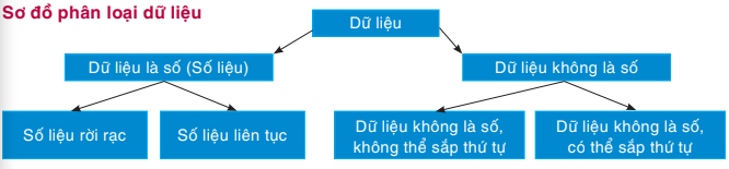 hinh-anh-bai-18-thu-thap-va-phan-loai-du-lieu-7212-0