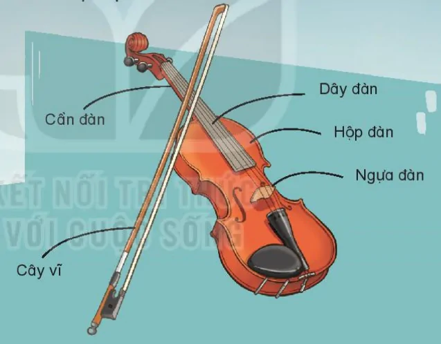 hinh-anh-thuong-thuc-am-nhac-gioi-thieu-dan-vi-o-long-violon-7297-0