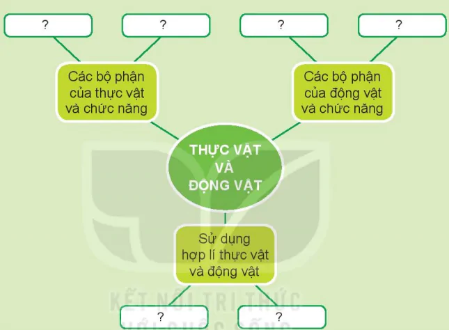 hinh-anh-bai-17-on-tap-chu-de-thuc-vat-va-dong-vat-7330-0