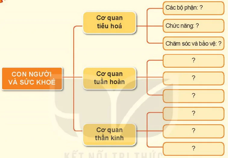 hinh-anh-bai-25-on-tap-chu-de-con-nguoi-va-suc-khoe-7368-0