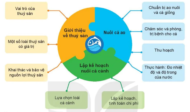 hinh-anh-on-tap-chuong-iv-7496-0