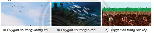 hinh-anh-bai-11-oxygen-khong-khi-7800-0