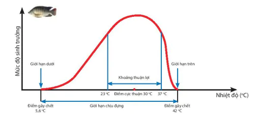 hinh-anh-bai-37-ung-dung-sinh-truong-va-phat-trien-o-sinh-vat-vao-thuc-tien-9023-0