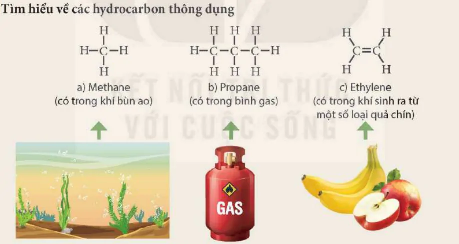 hinh-anh-bai-23-alkane-9280-0