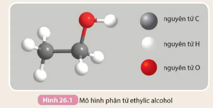 hinh-anh-bai-26-ethylic-alcohol-9294-0