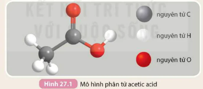 hinh-anh-bai-27-acetic-acid-9300-0