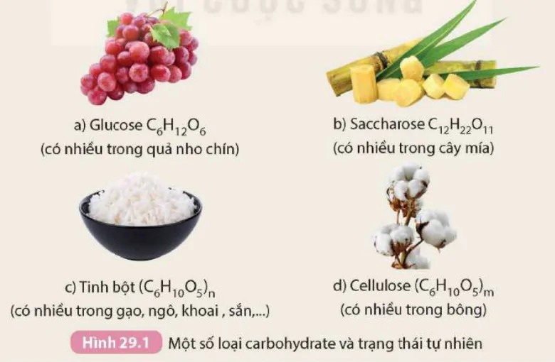 hinh-anh-bai-29-carbohydrate-glucose-va-saccharose-9309-0