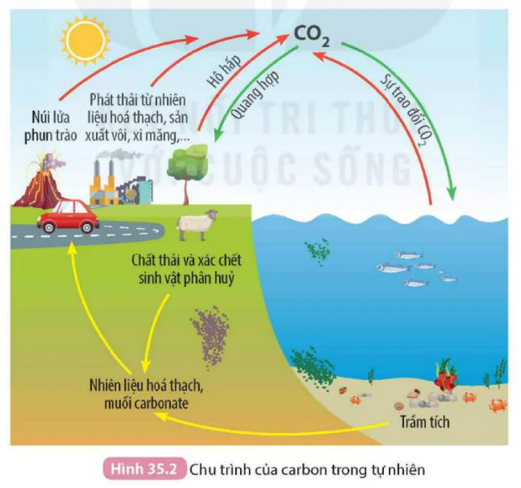 hinh-anh-bai-35-khai-thac-nhien-lieu-hoa-thach-nguon-carbon-chu-trinh-carbon-va-su-am-len-toan-cau-9399-1