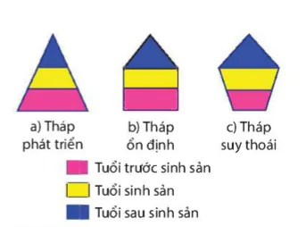 hinh-anh-bai-42-quan-the-sinh-vat-9398-9