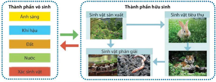 hinh-anh-bai-44-he-sinh-thai-9420-3