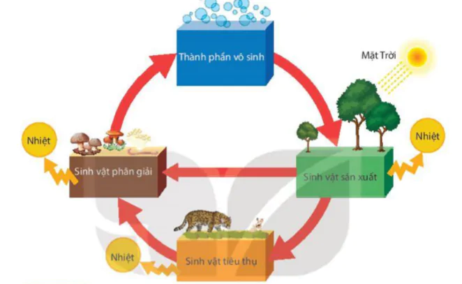 hinh-anh-bai-44-he-sinh-thai-9420-12