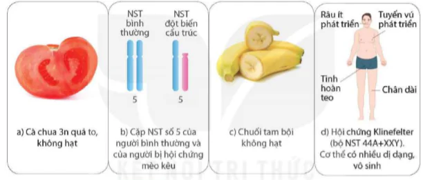 hinh-anh-bai-46-dot-bien-nhiem-sac-the-9549-9