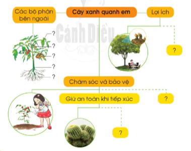 hinh-anh-on-tap-va-danh-gia-chu-de-dong-vat-va-thuc-vat-9999-0