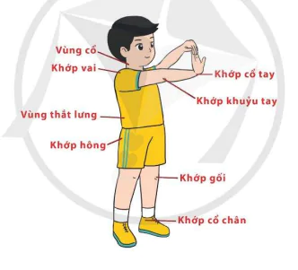 hinh-anh-ve-sinh-trong-khoi-dong-tap-luyen-hoi-phuc-va-sau-tap-luyen-10159-0